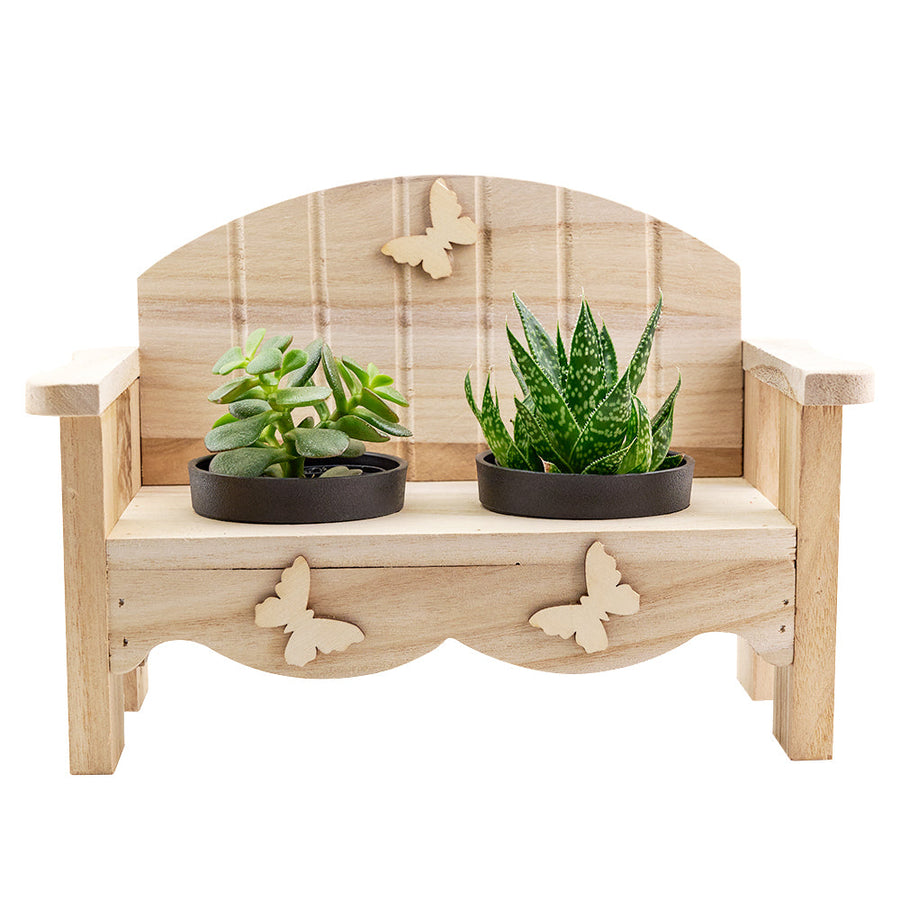 Succulent Greenhouse Garden Bench. Los Angeles Blooms - Los Angeles Delivery