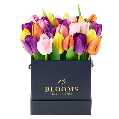 Spring Fling Tulip Arrangement - Floral Gift Box - Los Angeles Blooms - Los Angeles Delivery