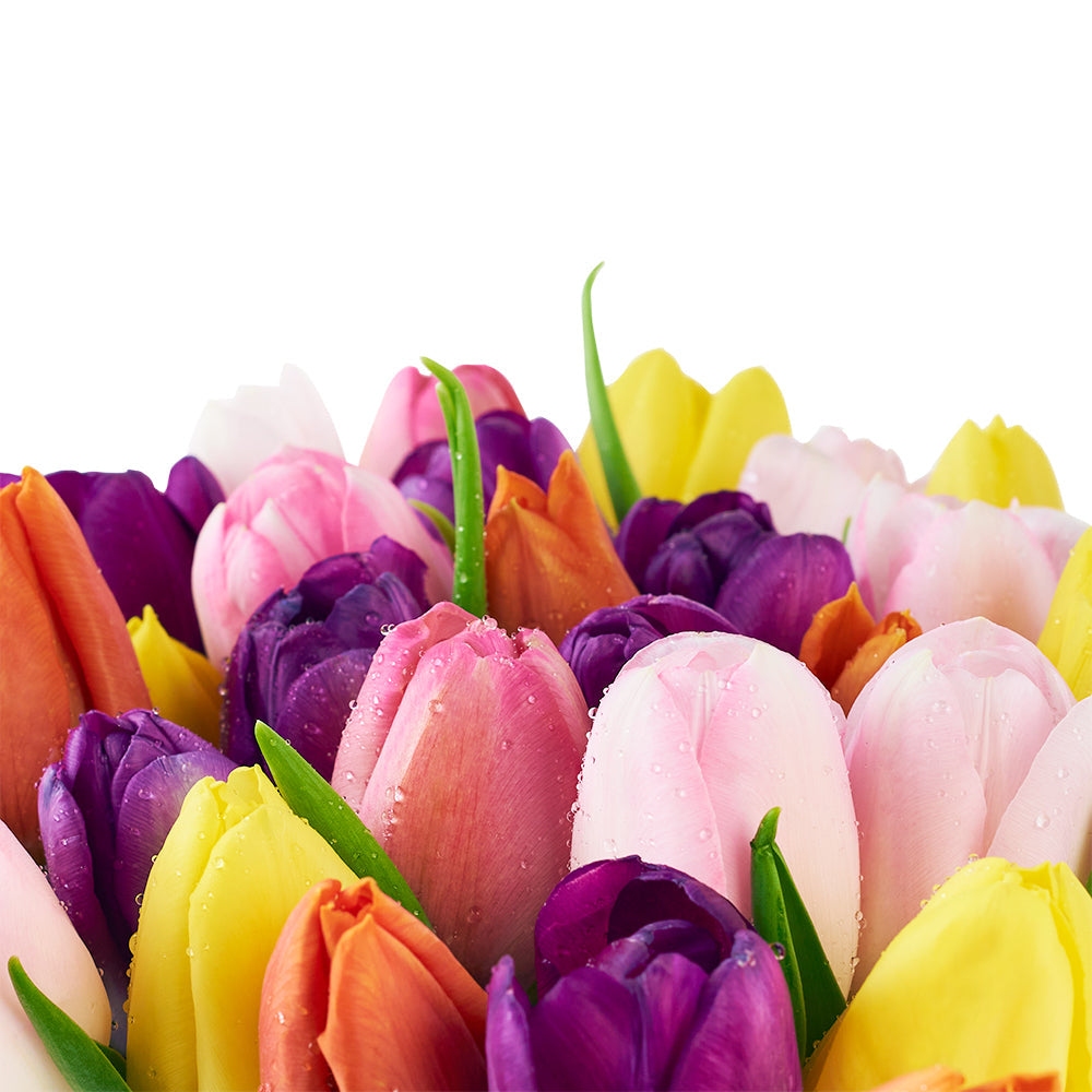 Spring Fling Tulip Arrangement - Floral Gift Box - Los Angeles Blooms - Los Angeles Delivery