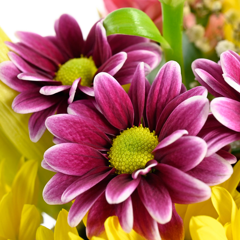 The Best Mother's Day Floral Gift - Wooden Planter Mix Floral Gift Basket - Los Angeles Blooms