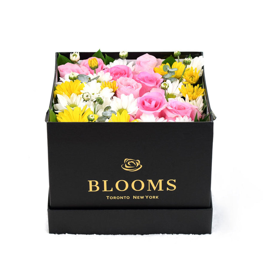 Mixed flower Rose and Daisies box -  Los Angeles Blooms