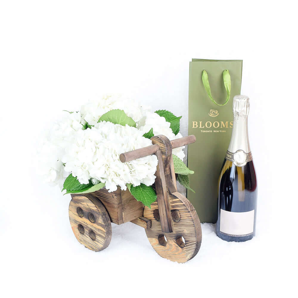 White Hydrangea Planter in Bicycle-Shaped Wooden Container – how the gift is presented