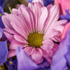 Los Angeles Flower Delivery - Los Angeles Flower Gifts - Violet Fantasy Mixed Iris Bouquet