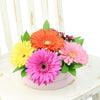 Vivacious Daisy Arrangement. Los Angeles Blooms - Los Angeles Delivery