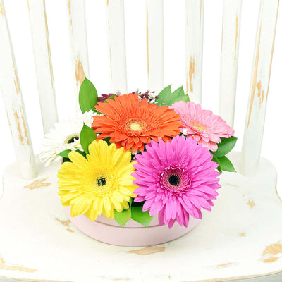 Vivacious Daisy Arrangement. Los Angeles Blooms - Los Angeles Delivery