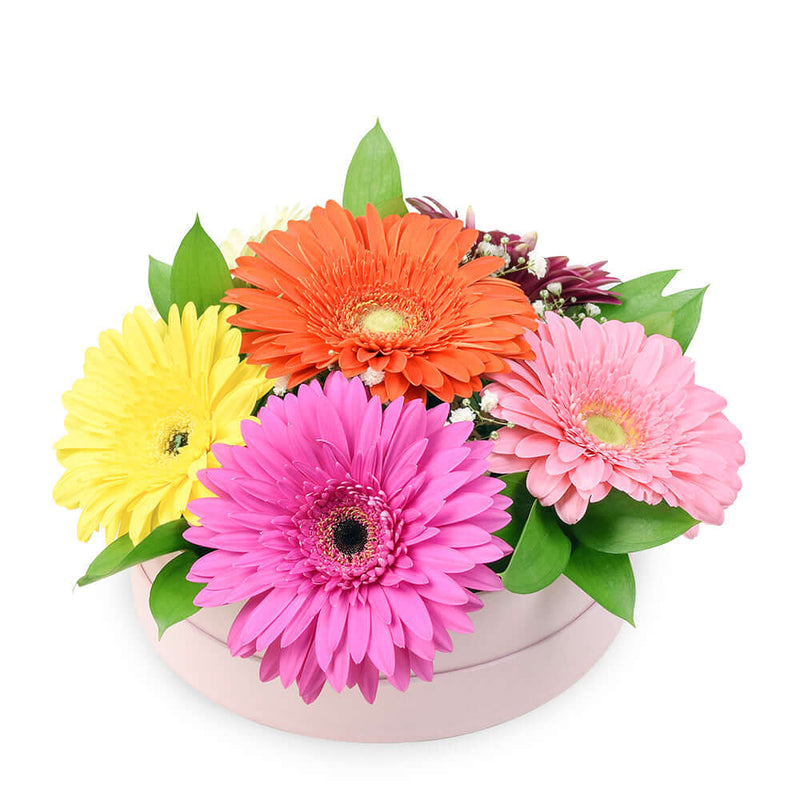 Vivacious Daisy Arrangement. Los Angeles Blooms - Los Angeles Delivery
