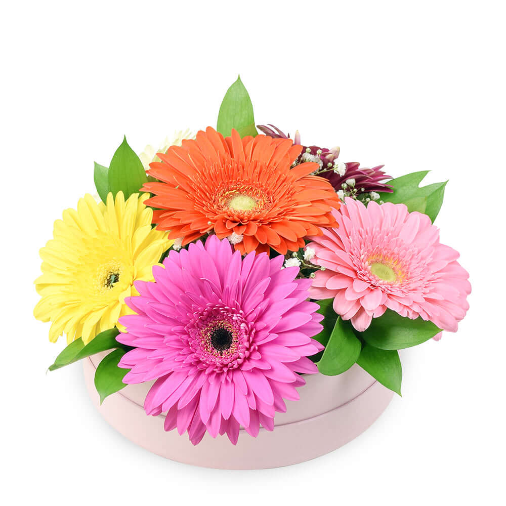 Vivacious Daisy Arrangement. Los Angeles Blooms - Los Angeles Delivery